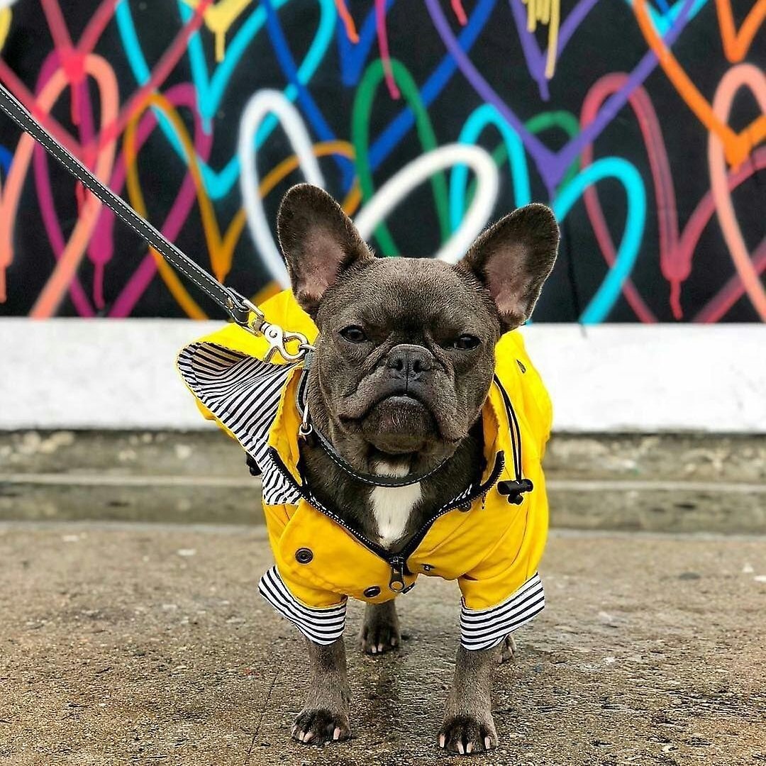 Raincoat - Pink