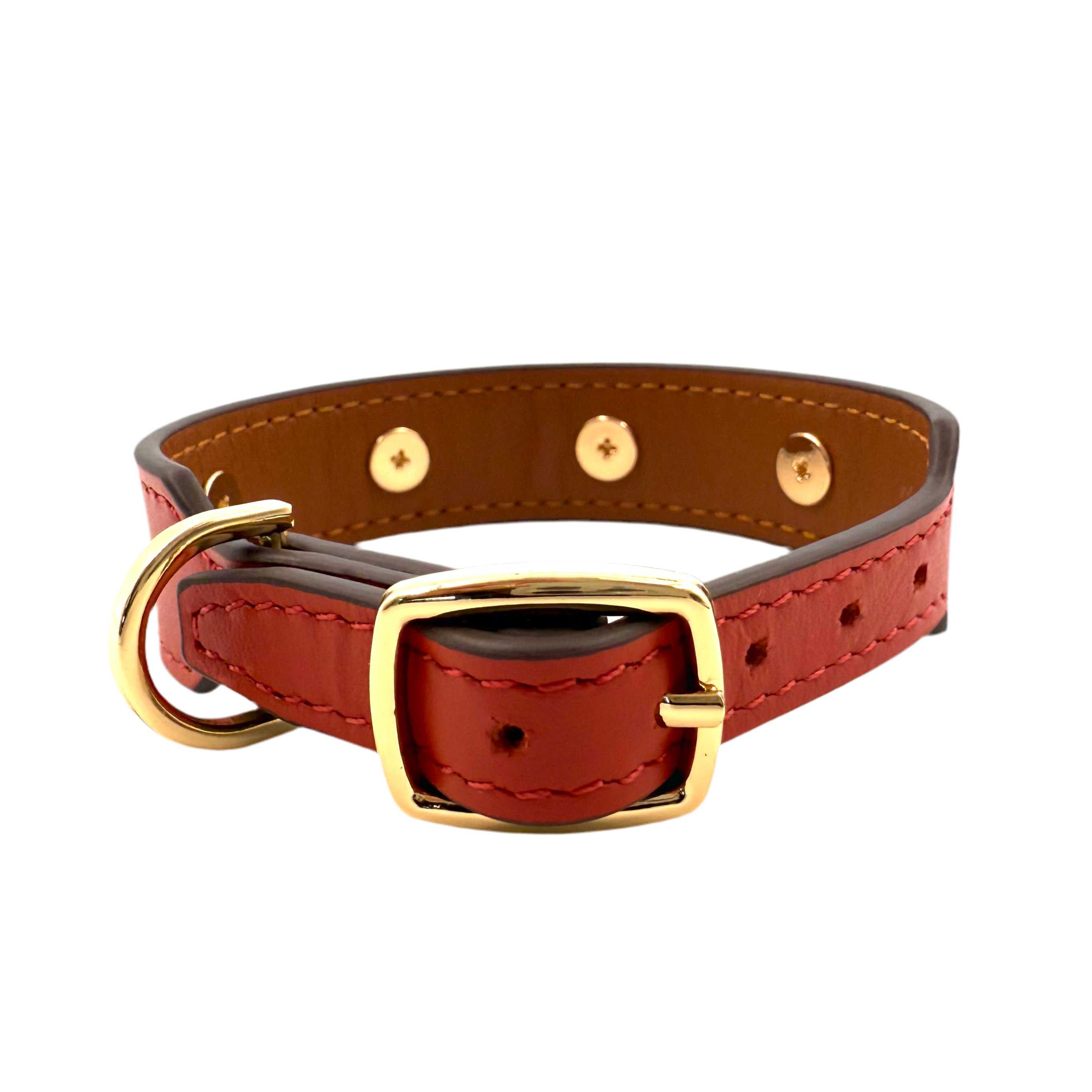 Royal Collar - Corallo