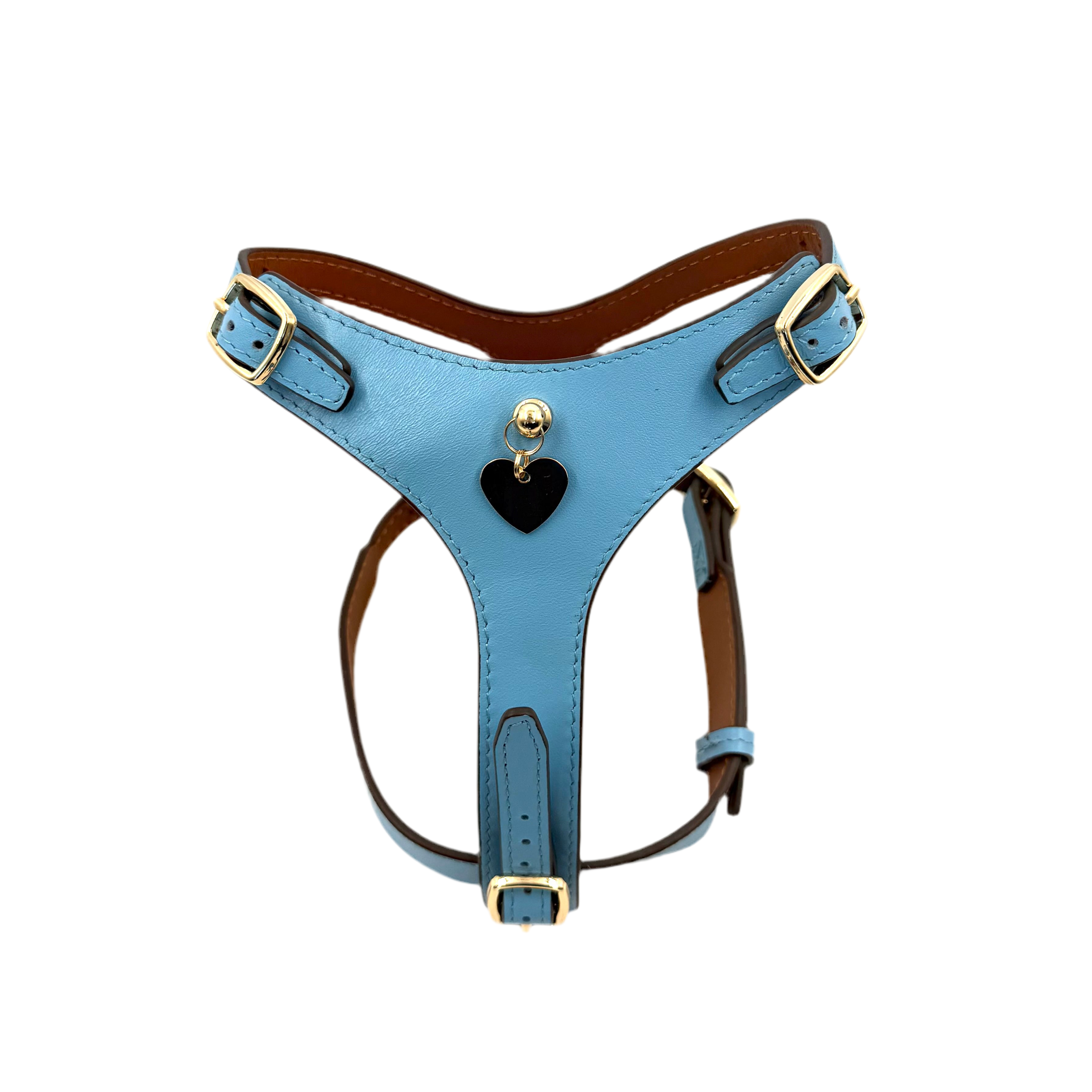 H-Shape Harness - Blue