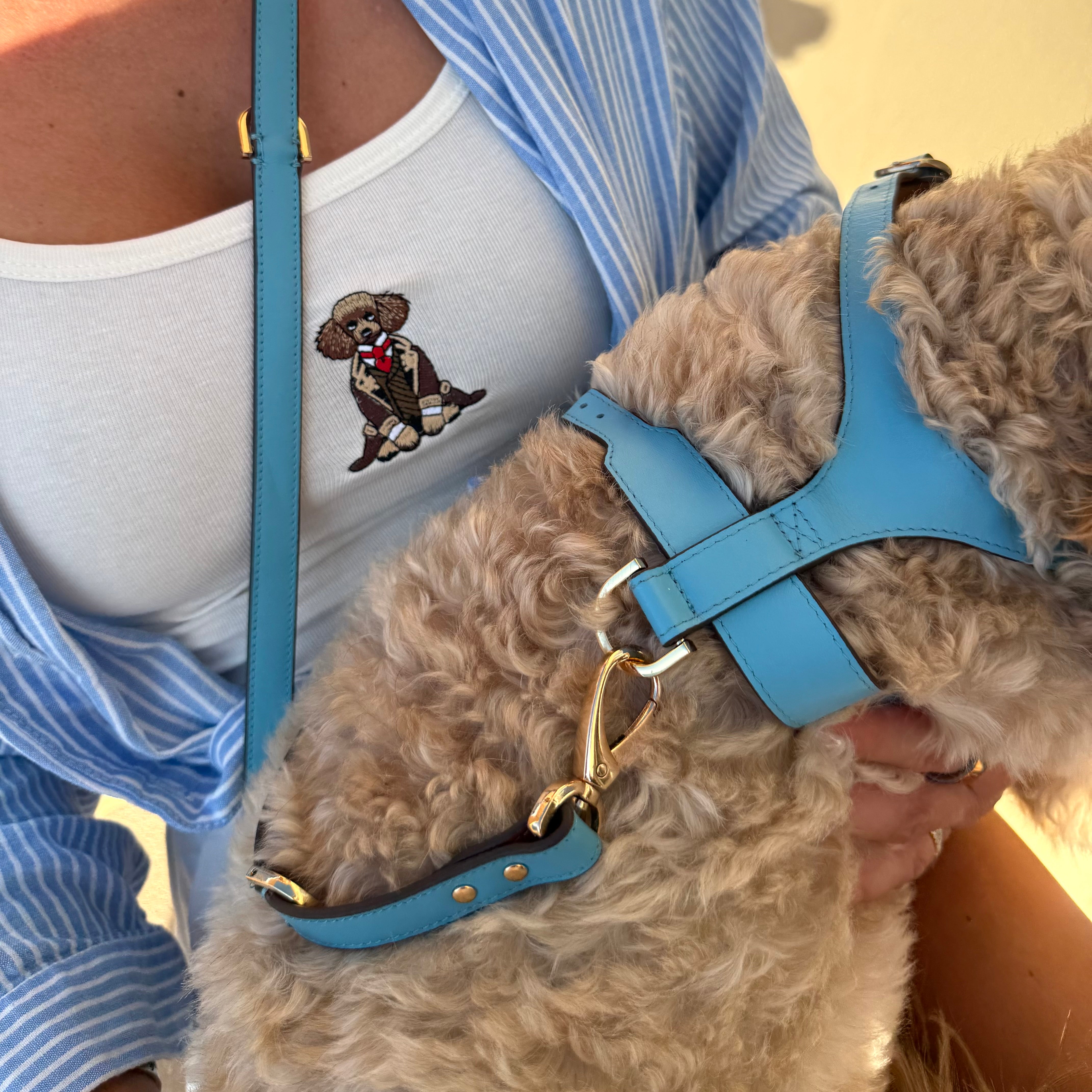 H-Shape Harness - Blue