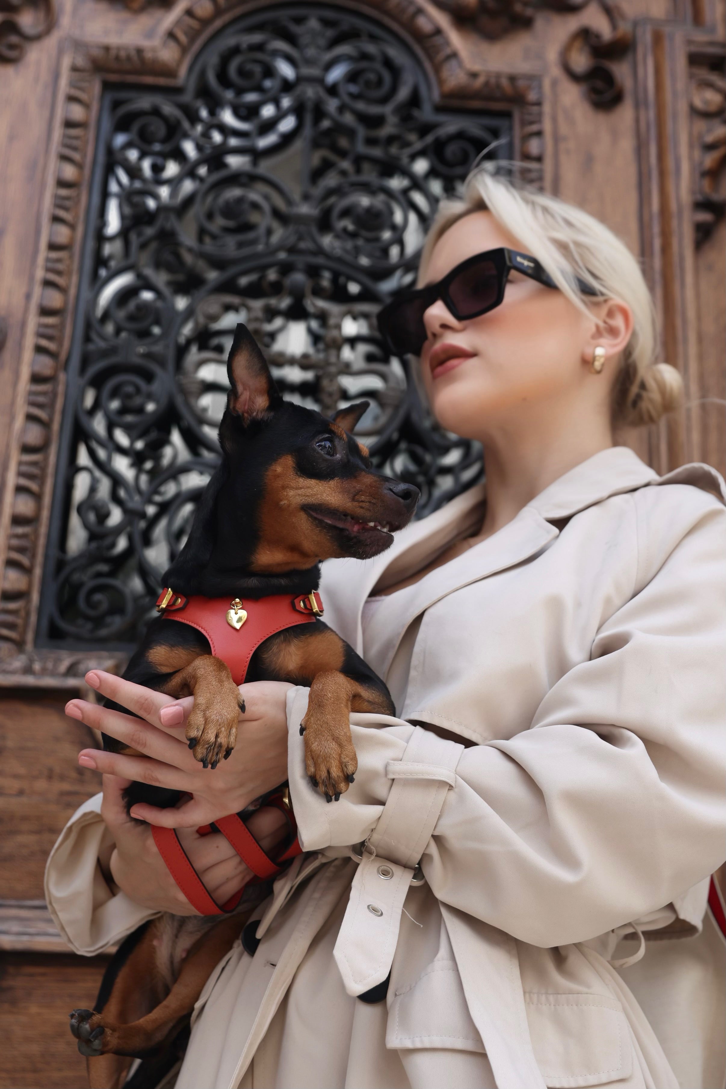 Soft Leather Harness - Corallo