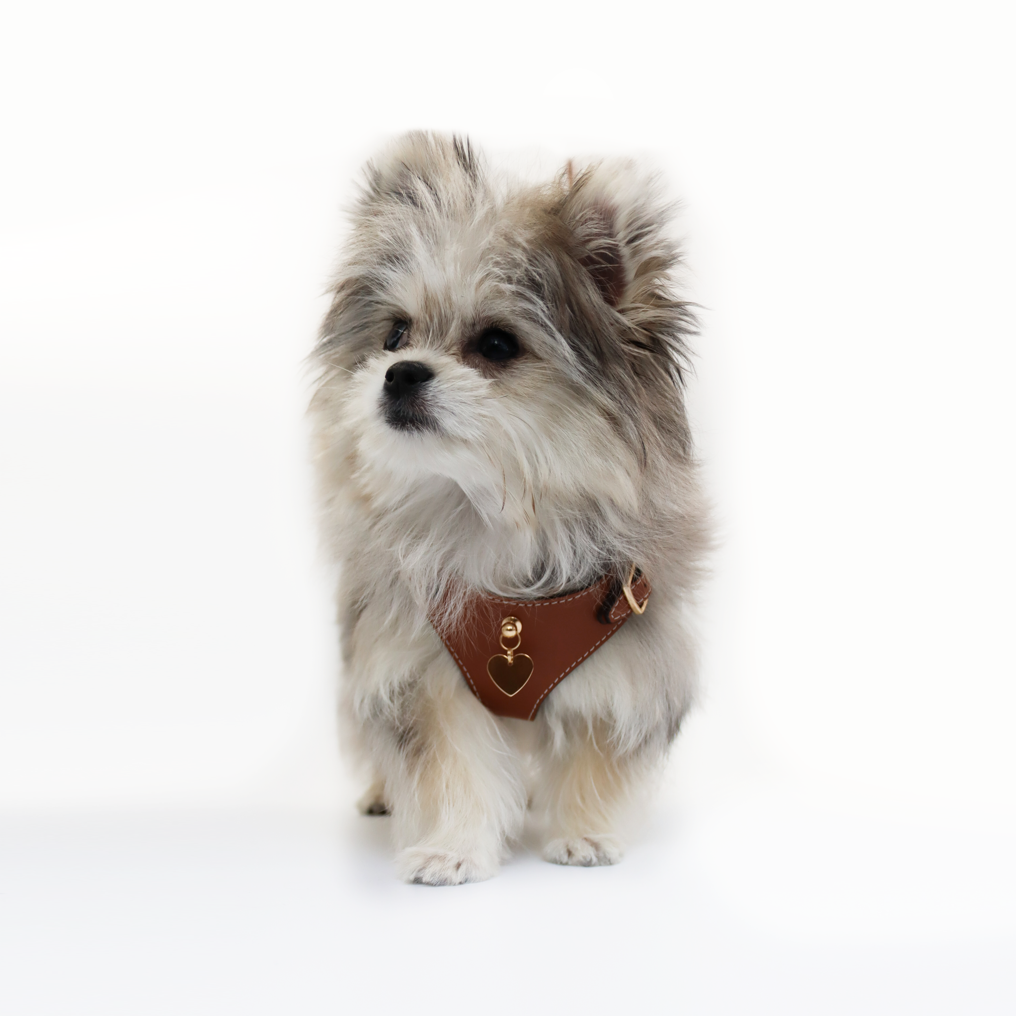 Soft Leather Harness - Marrone