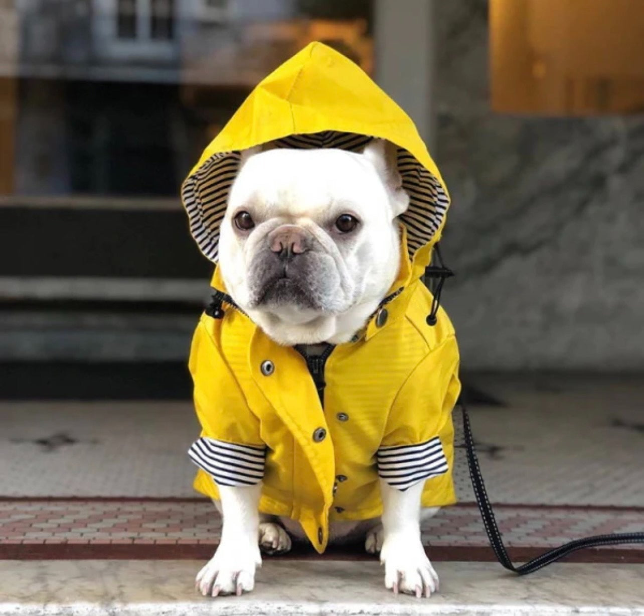 Raincoat - Pink