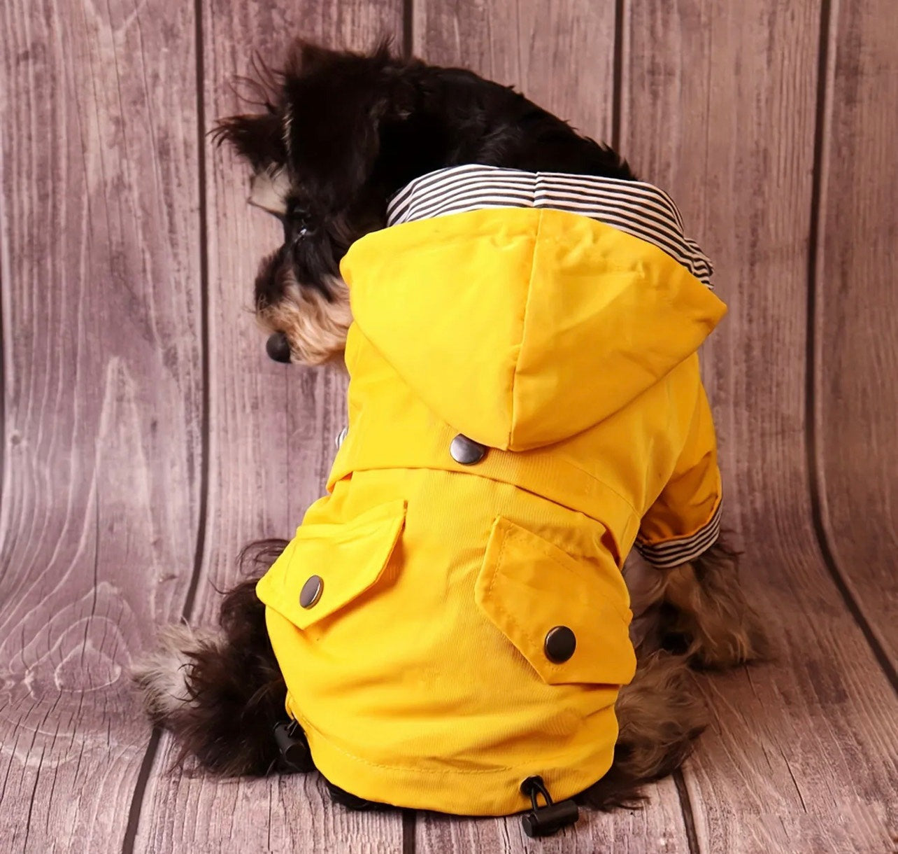 Raincoat - Pink