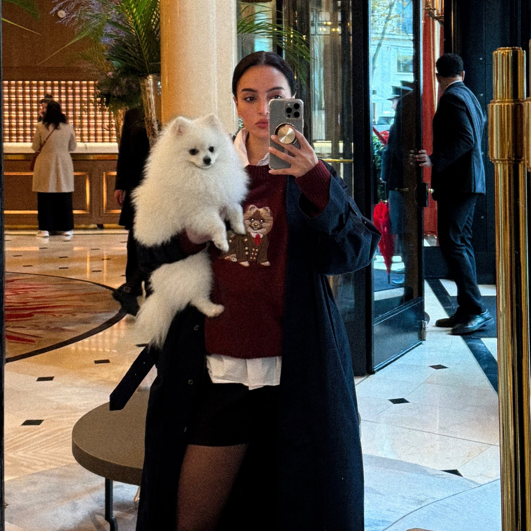 Sweater Pomeranian Embroidery 100% Cotton - Burgundy