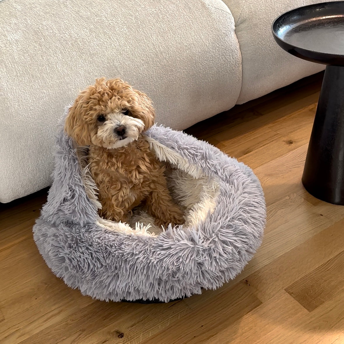 Dog Nest Bed - Gray