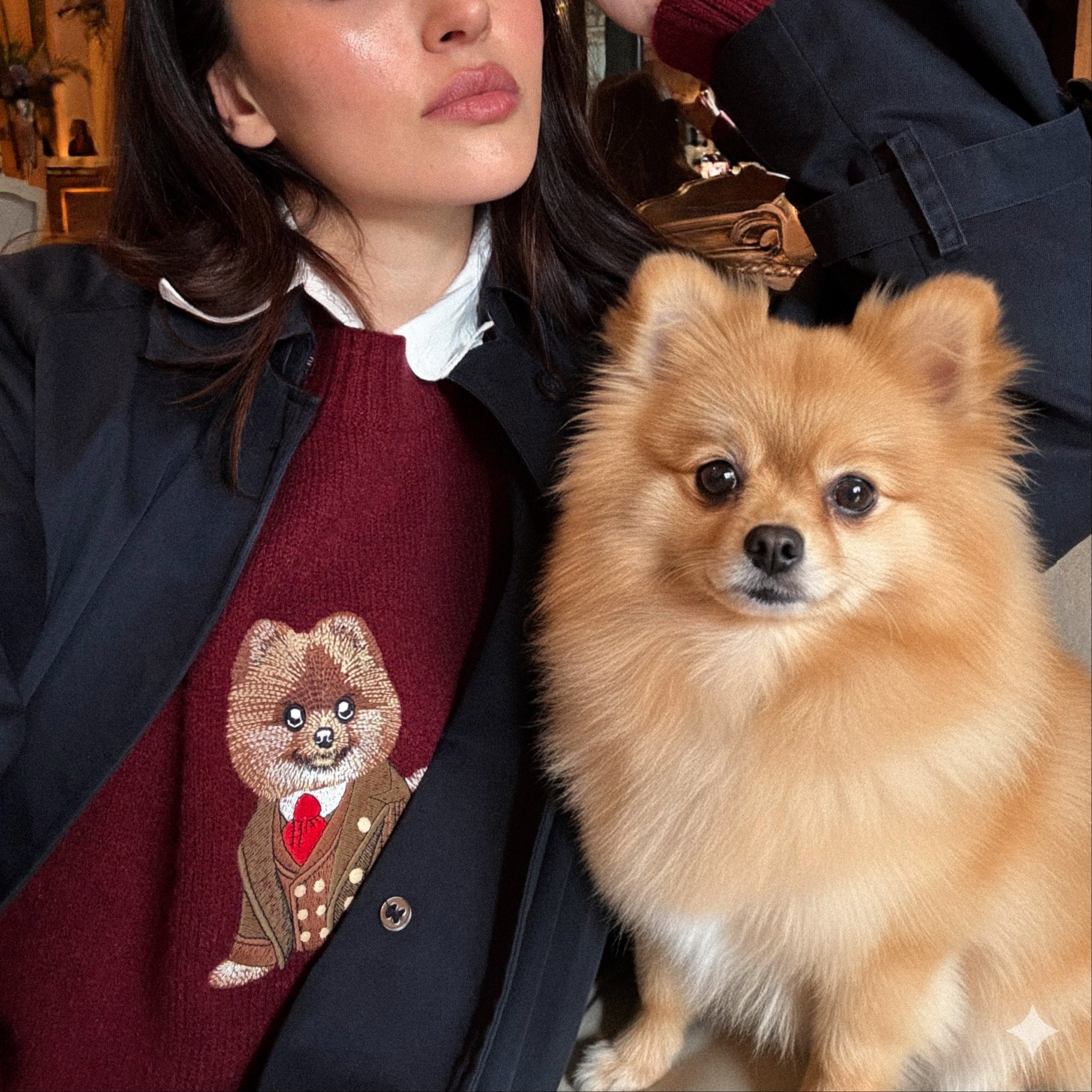 Sweater Pomeranian Embroidery 100% Cotton - Burgundy
