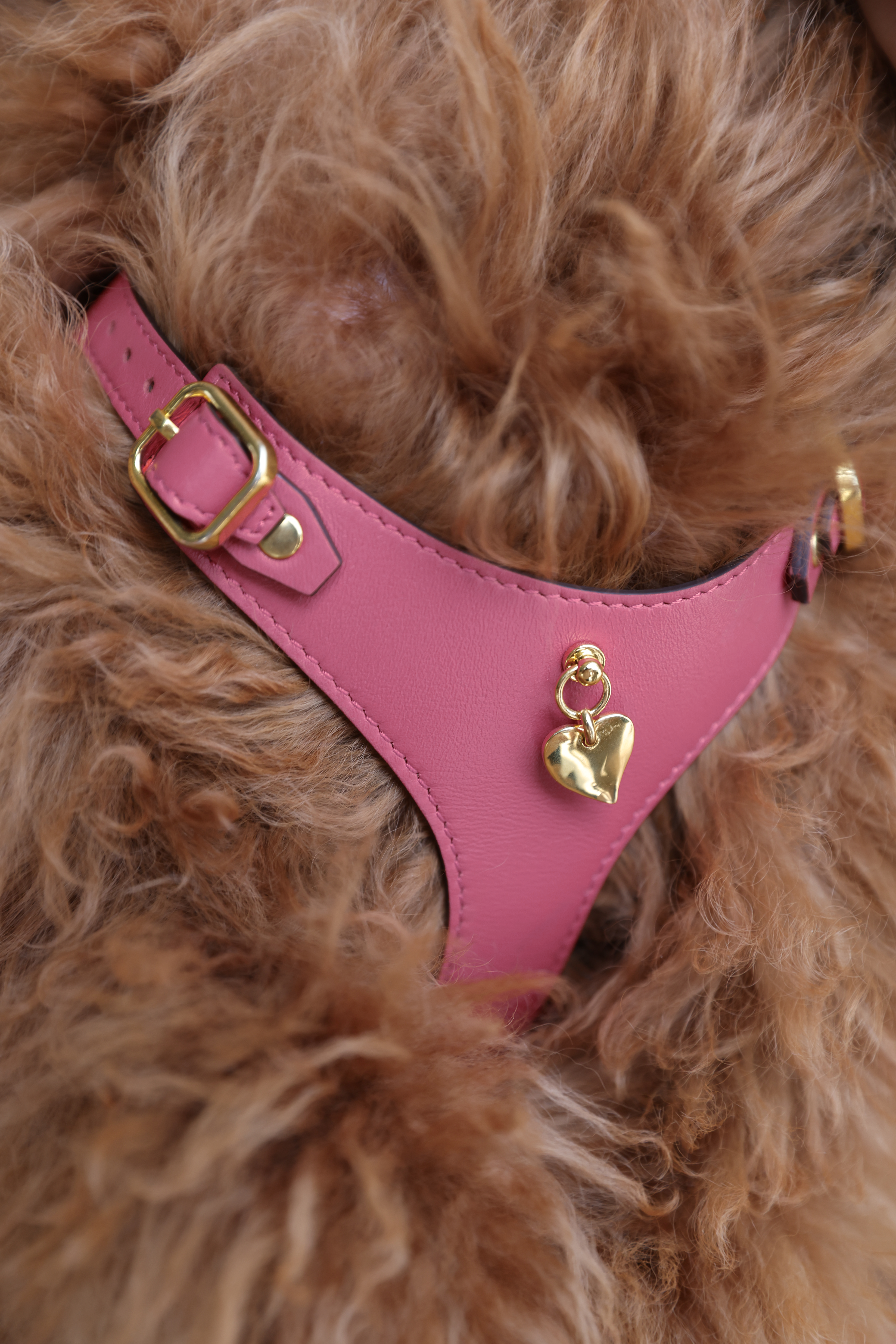 Soft Leather Harness - Rosa