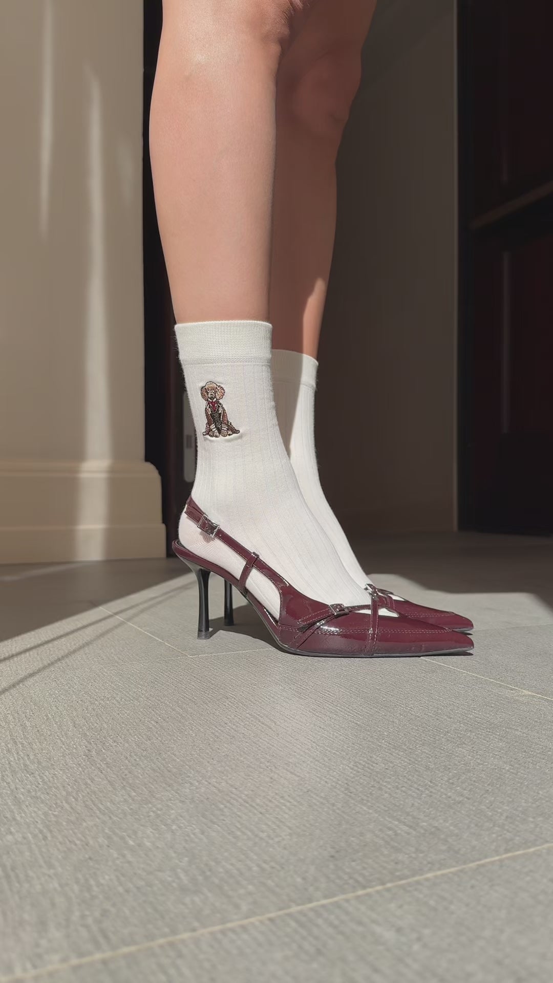 Dachshund Cotton Socks - Multicolor Pack