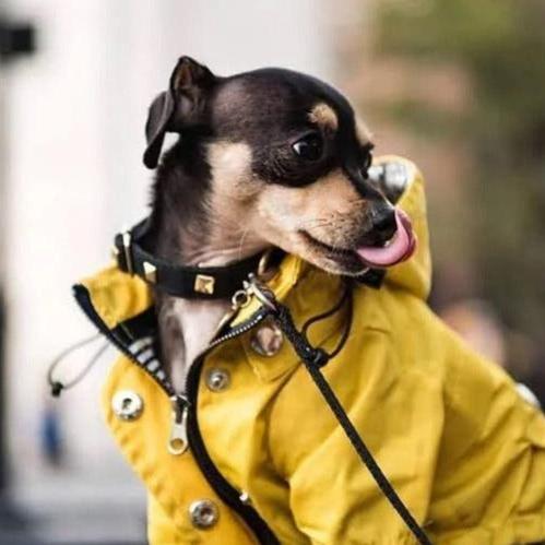 Raincoat - Pink