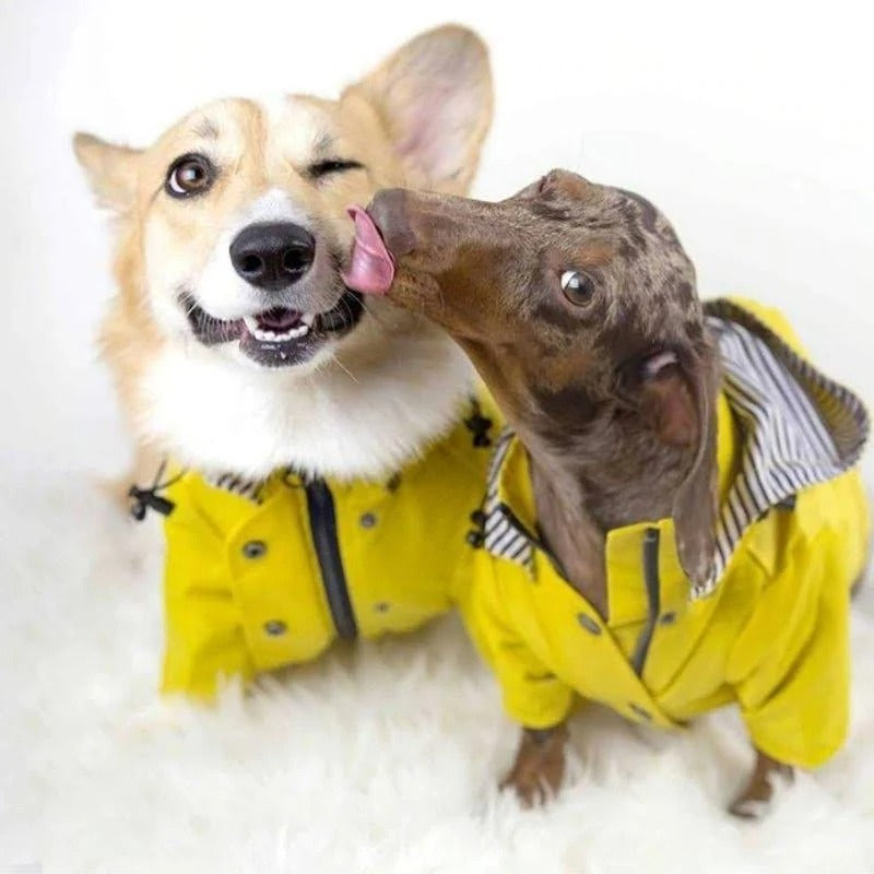 Raincoat - Pink