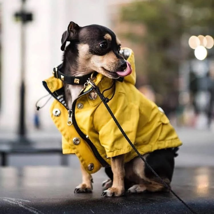 Dog Jackets
