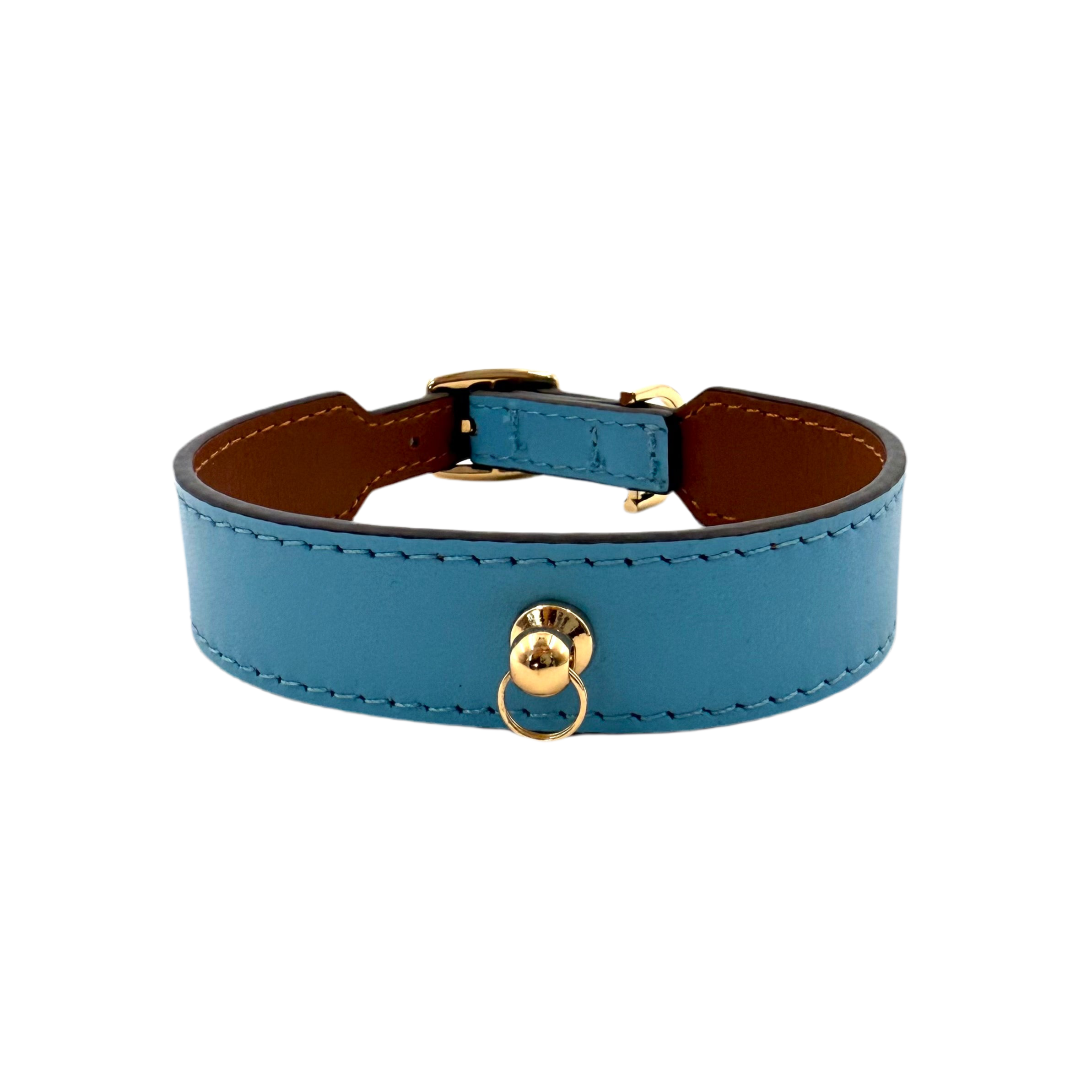 Nametag Collar - Blue