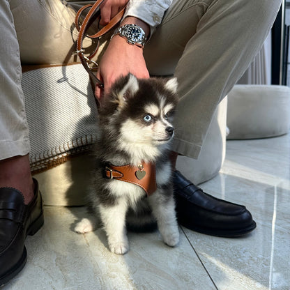 Soft Leather Harness - Marrone
