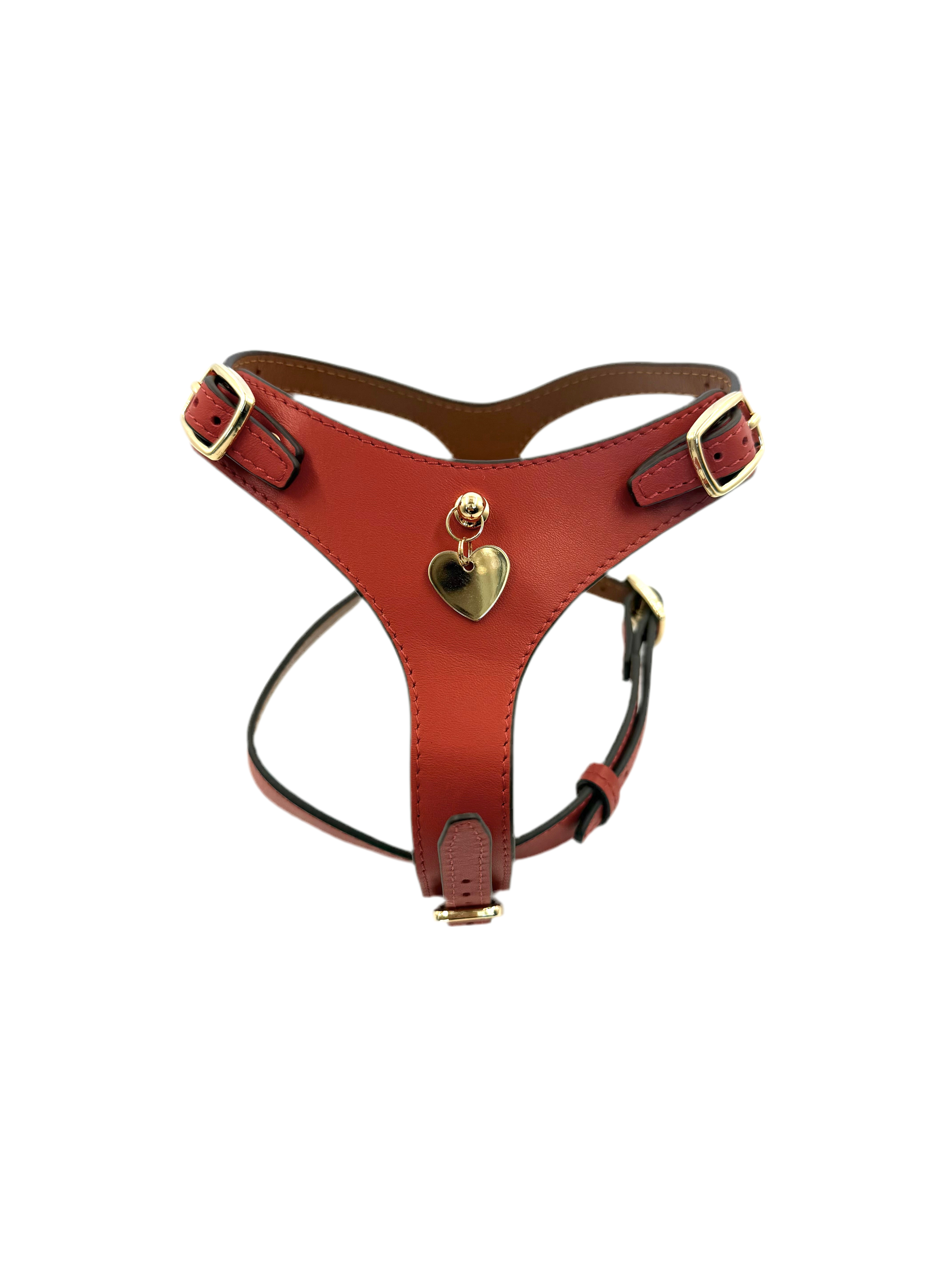 H-Shape Harness - Corallo