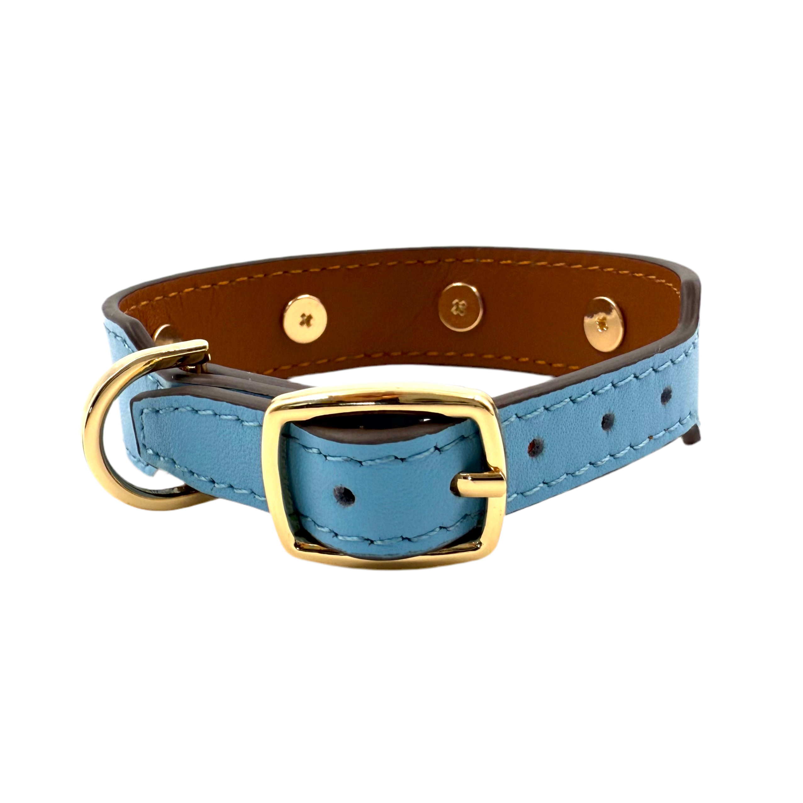 Royal Collar - Blue