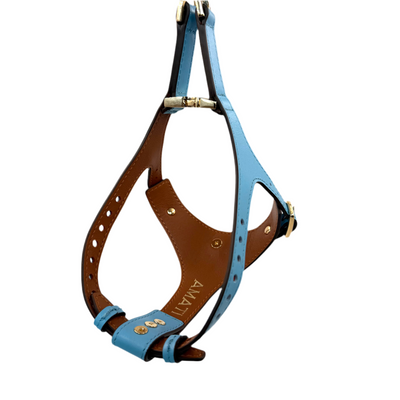 Soft Leather Harness - Blue