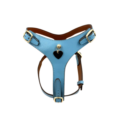 H-Shape Harness - Blue