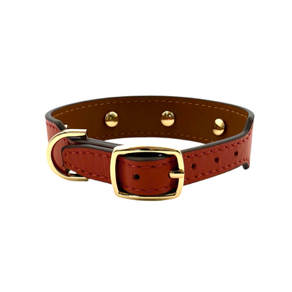 Noble Collar - Corallo