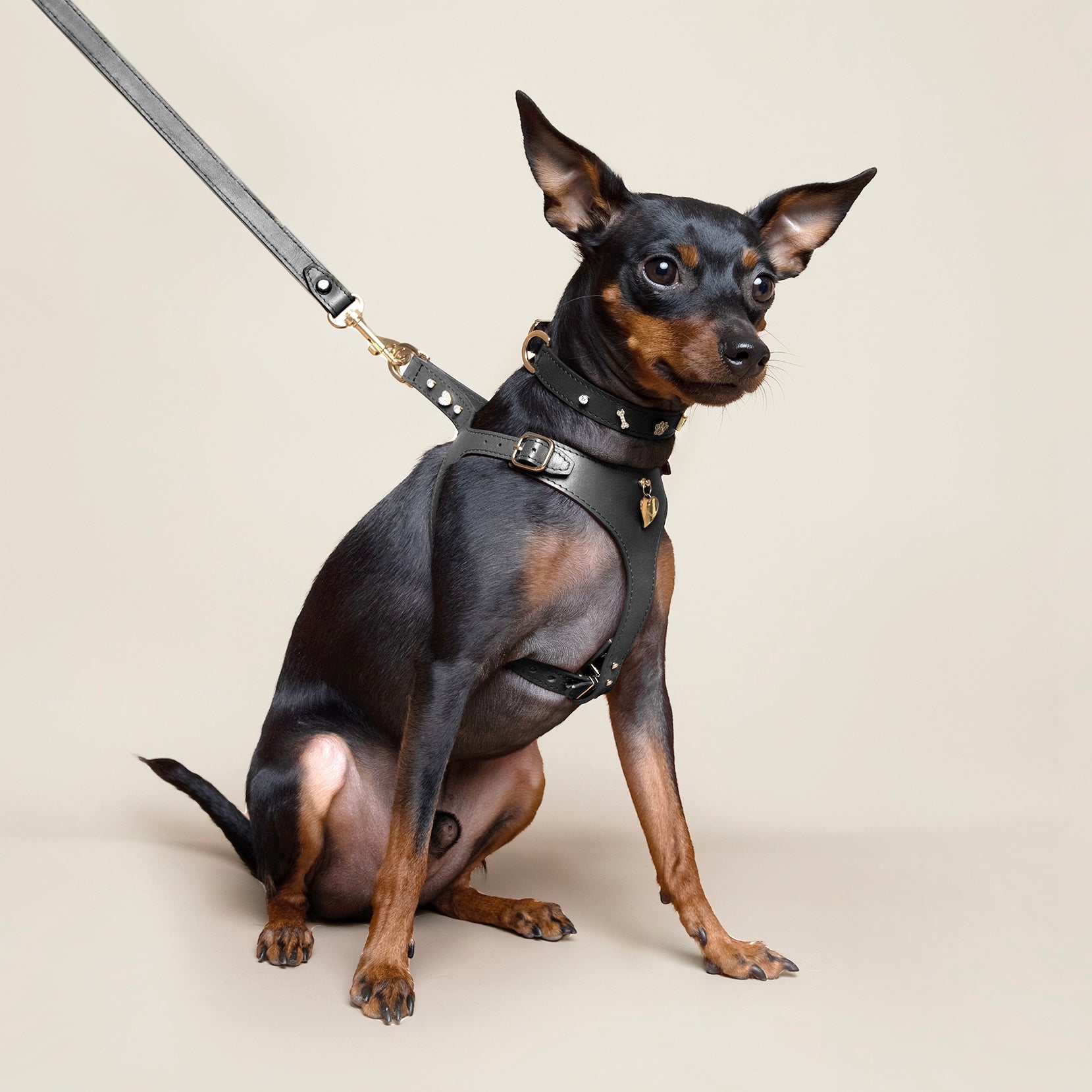 Soft Leather Harness - Nero