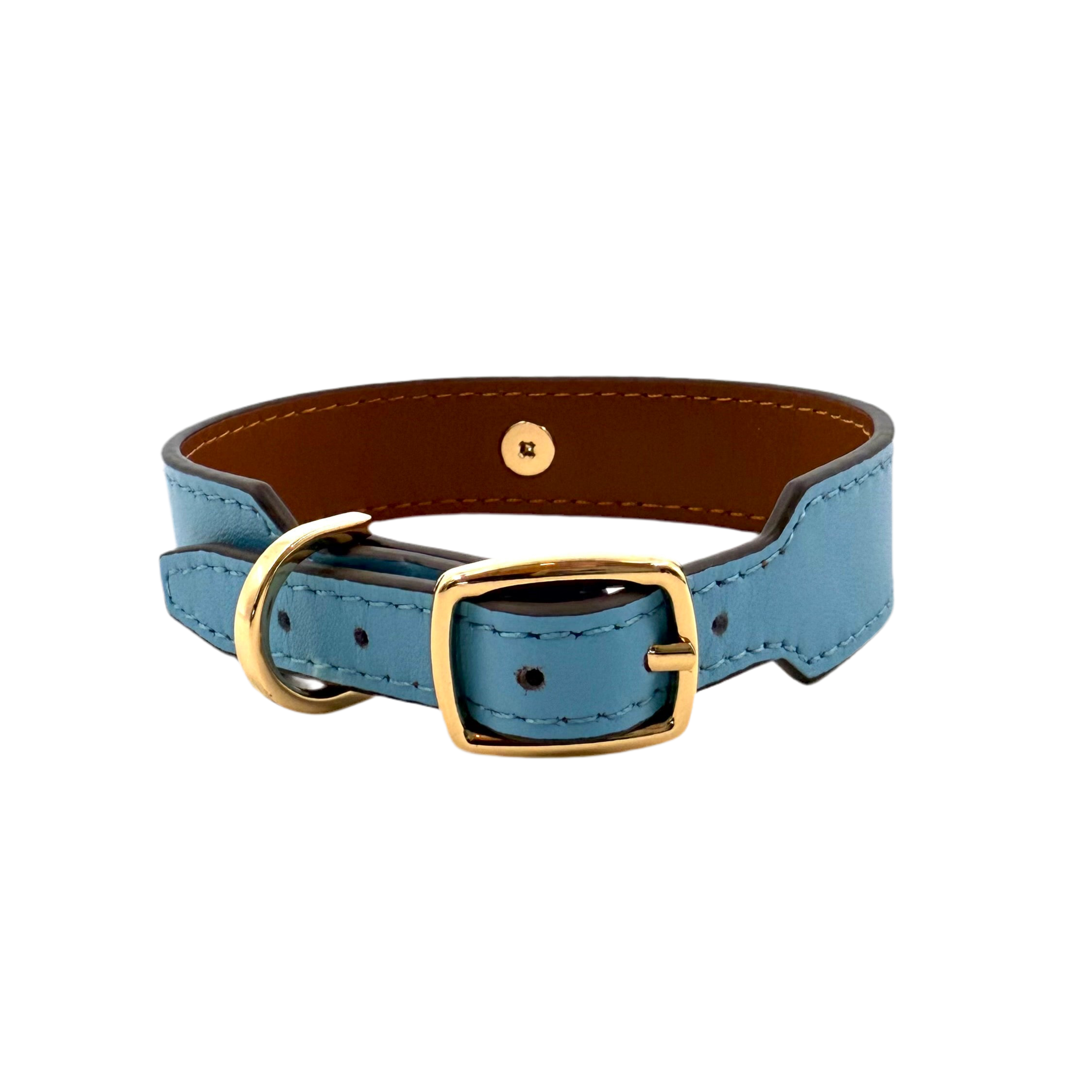 Nametag Collar - Blue