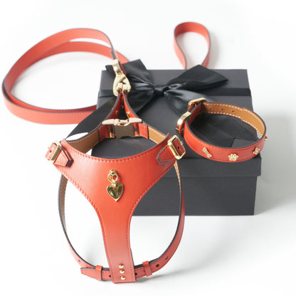 Soft Leather Harness - Corallo