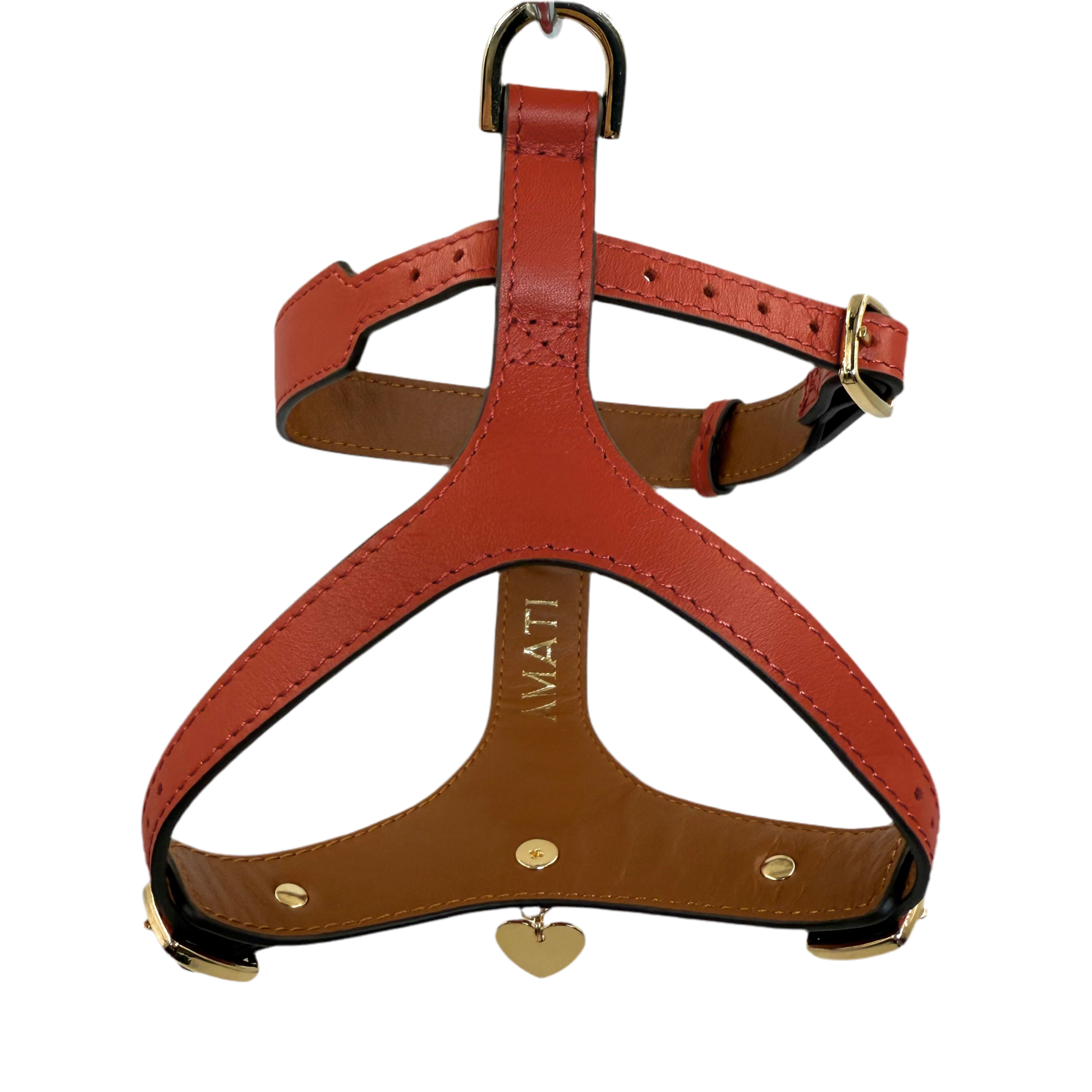 H-Shape Harness - Corallo
