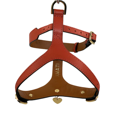 H-Shape Harness - Corallo