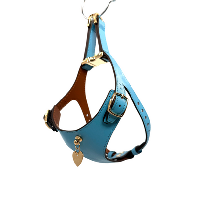 Soft Leather Harness - Blue