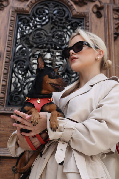 Soft Leather Harness - Corallo