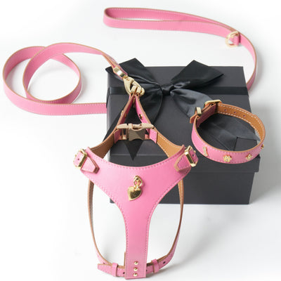 Soft Leather Harness - Rosa