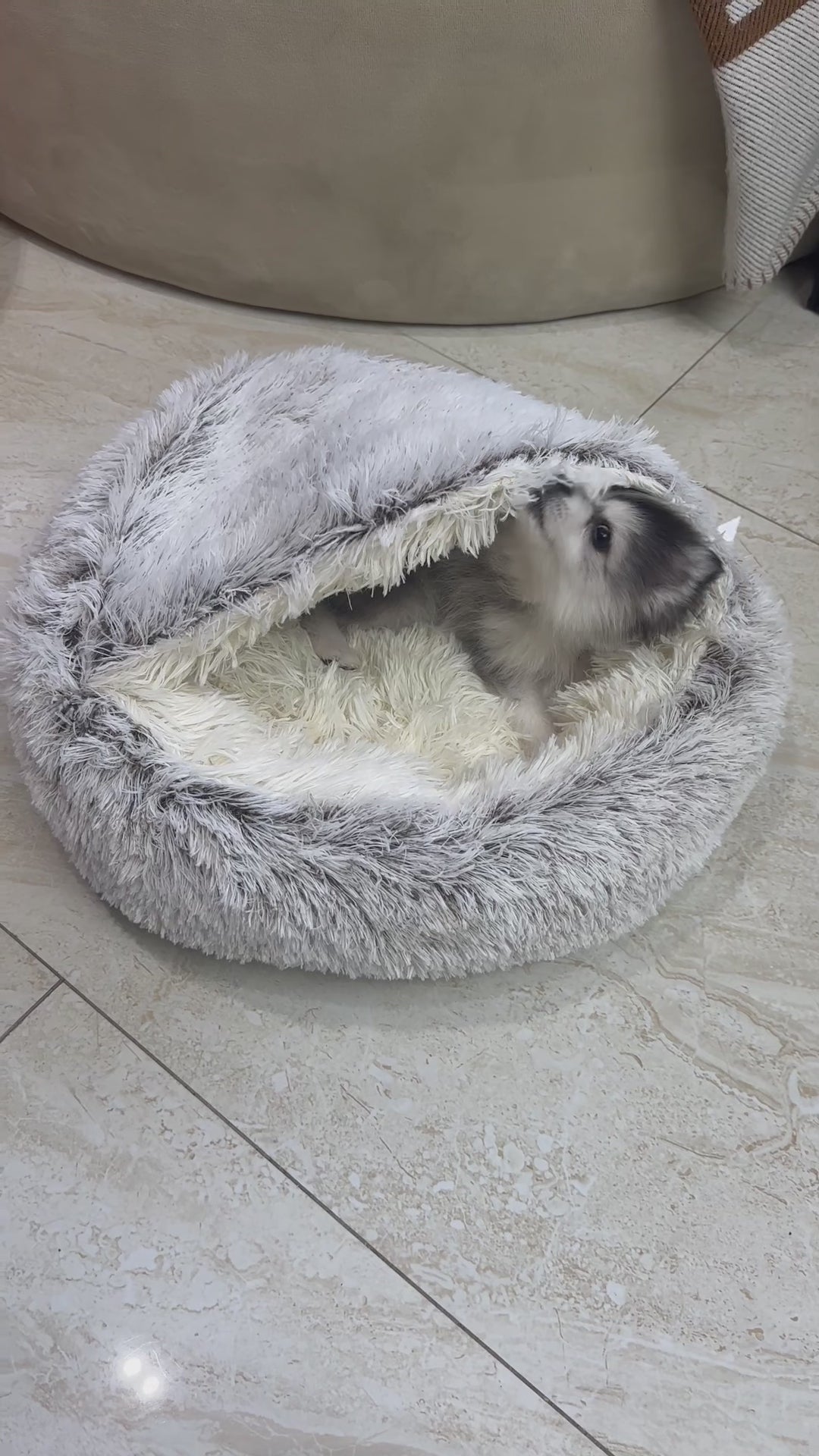 Dog Nest Bed - Cappuccino