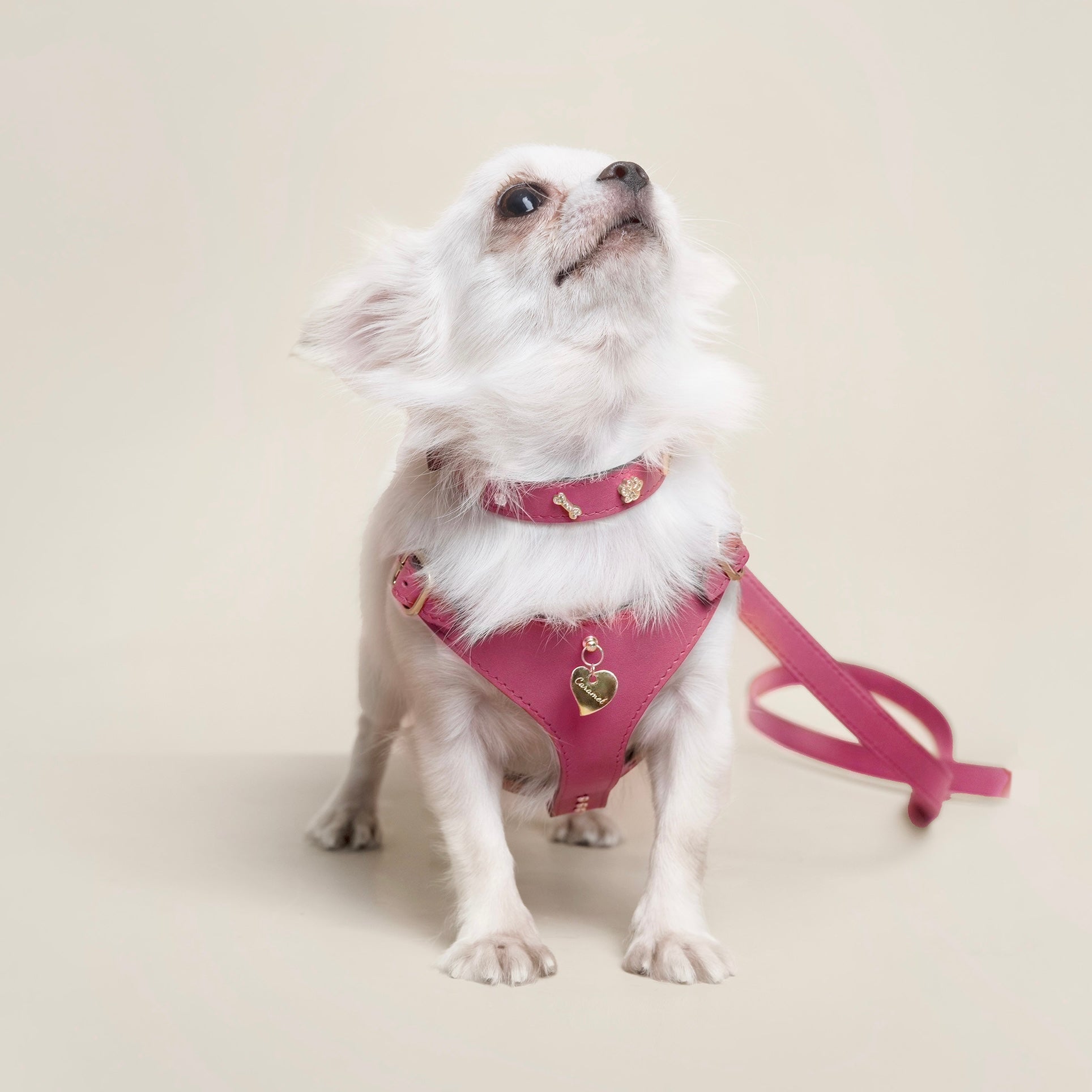 Soft Leather Harness - Rosa