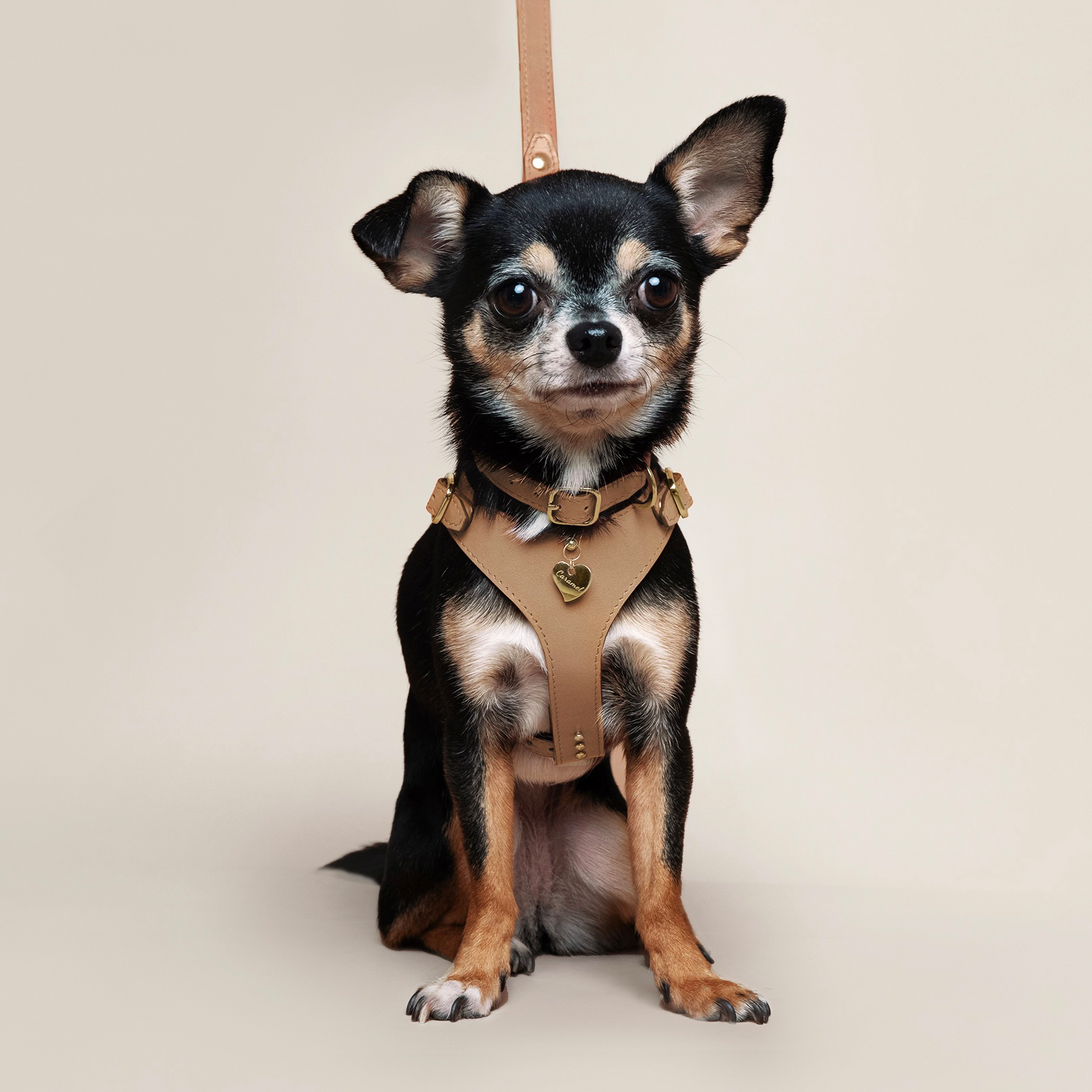 Soft Leather Harness - Cappuccino