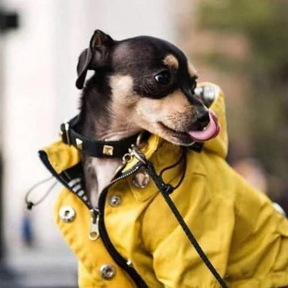 Raincoat - Pink
